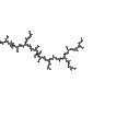 D<sub>dh</sub> = 1.255