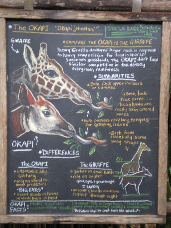 Example exhibit sign